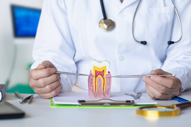 Best Urgent Dental Care for Toothaches in Wetumka, OK